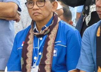 Bakri Anggota DPR RI Dapil Jambi. Foto: Net