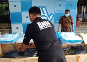 BNN musnahkan barang bukti narkoba. (Dok)