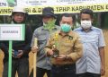 Haris Tanam Porang. (Diskominfo)