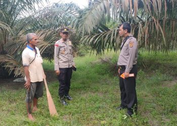 Kapolsek Pemayung AKP Sunardi,SH saat di TKP(Poto Ist G12)