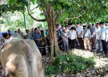 Gubernur Jambi Al Haris, Di Desa Sipin Teluk Duren(Poto Supri G12)