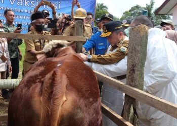 Gubernur Jambi Al Haris saat Vaksinasi di Kumpe(Poto Supri G12)