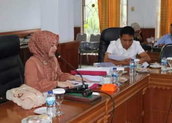 Ketua DPRD Batanghari Anita Yasmin saat pimpin rapat( Poto Supri G12)