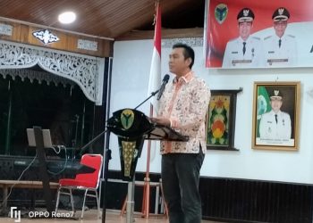 Bupati Batanghari Fadhil Arief dalam sambutan(Poto ist)