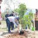 Gubernur Jambi Al Haris tanam pohon(Poto ist)