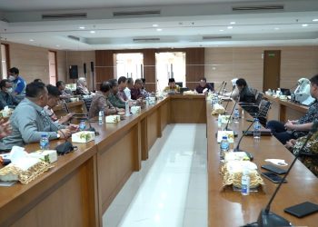 Gubernur Jambi Al Haris, dalam rapat bersama Badan Usaha Pertamabangan bersama dan Menteri ESDM(Poto Erit)