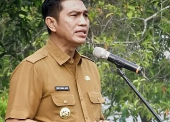Bupati Batang Hari Fadhil Arief.
